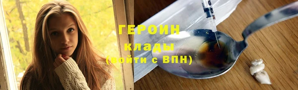 PSILOCYBIN Ельня