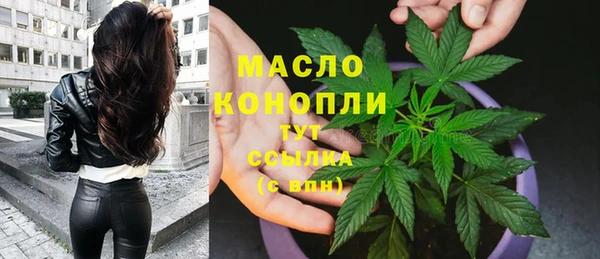 дживик Арсеньев