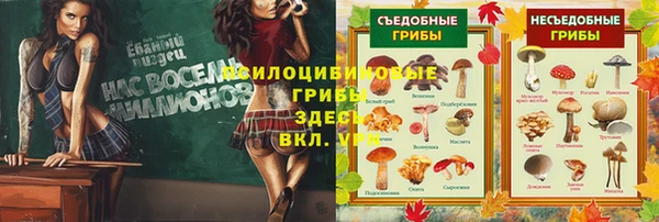 дживик Арсеньев